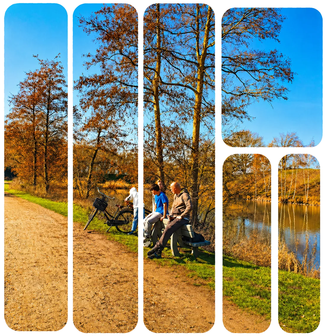 Photo collage of a park path, trees and a lake, used in the NEXT homepage hero